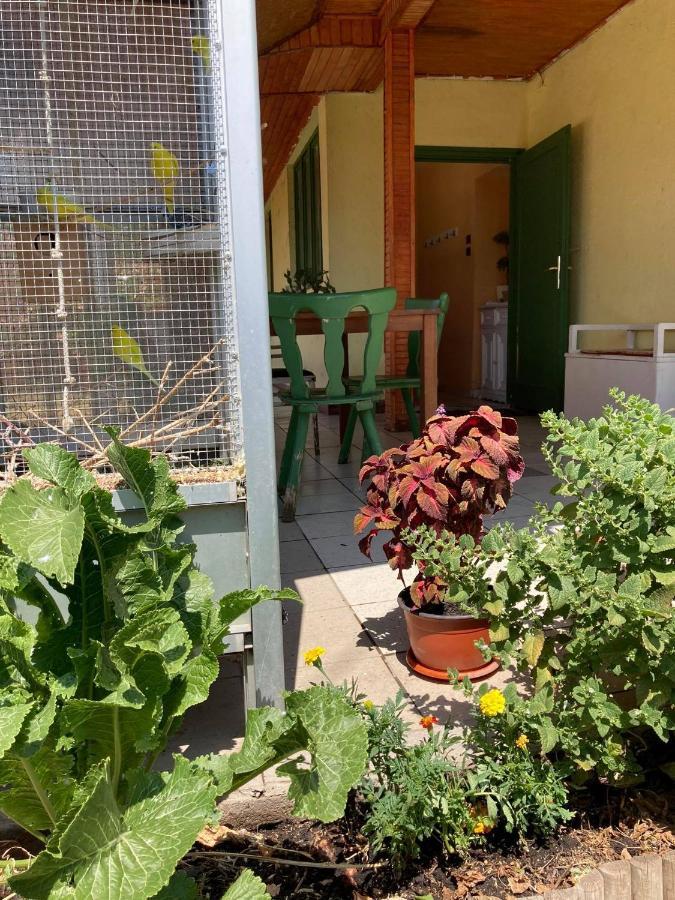 Leander Vendeghaz Apartment Gyöngyös Bagian luar foto